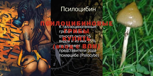 амф Белоозёрский