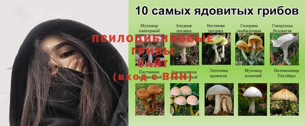спиды Белокуриха