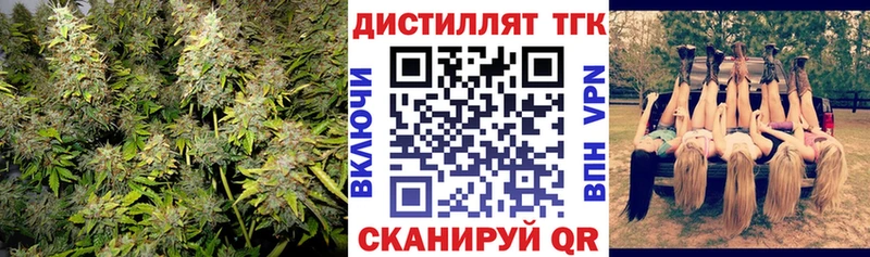 darknet клад  Железноводск  Дистиллят ТГК THC oil 