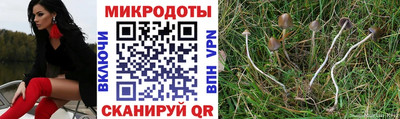 Псилоцибиновые грибы GOLDEN TEACHER  Железноводск 